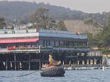 Monterey Bay 003